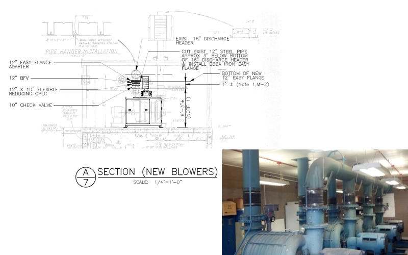 sanger drawing and photo